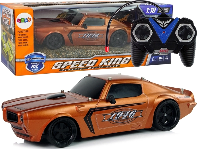 Auto sportiva R/C 1:18 Champion Pilot Marrone