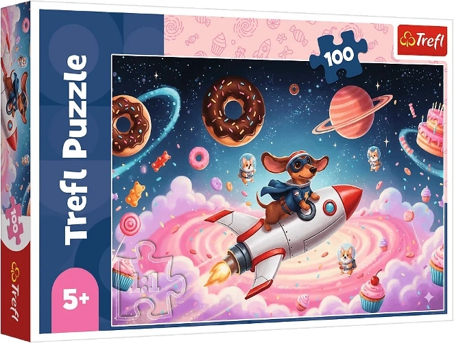 Puzzle da 100 pezzi: riccio su un razzo