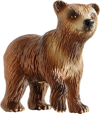 Cucciolo di orso bruno