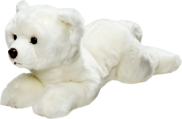 Orso polare