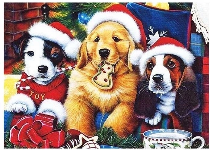 Norimpex pittura con diamanti Cuccioli a Natale 30 × 40 cm