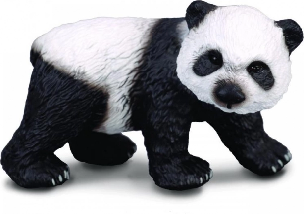 Panda grande - cucciolo