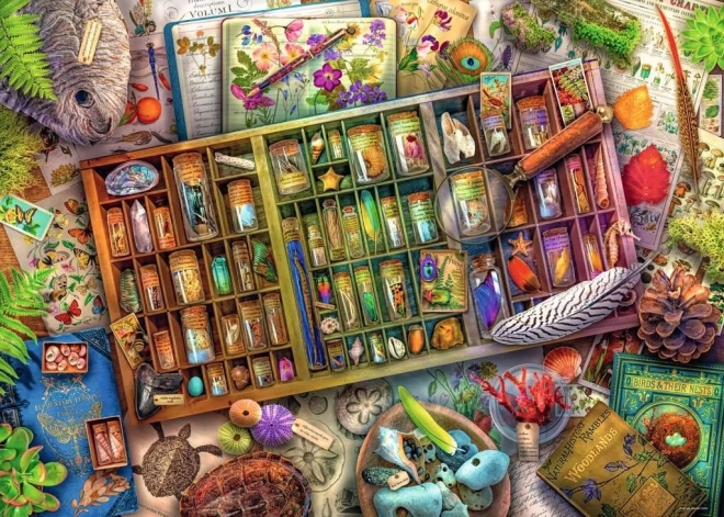 Puzzle Ravensburger Collezione di storia naturale 1000 pezzi