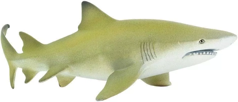Figura di squalo limone Safari Ltd.