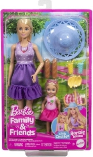 Barbie Famiglia e Amici al picnic
