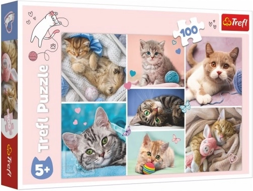 Puzzle Nel mondo dei gatti 100 pezzi Trefl