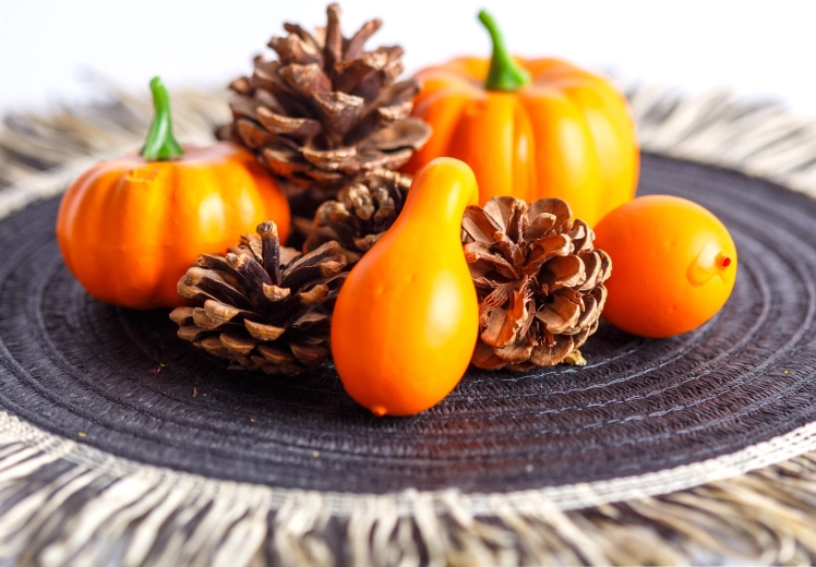Set decorativo autunnale di zucche e pigne, 9 pezzi
