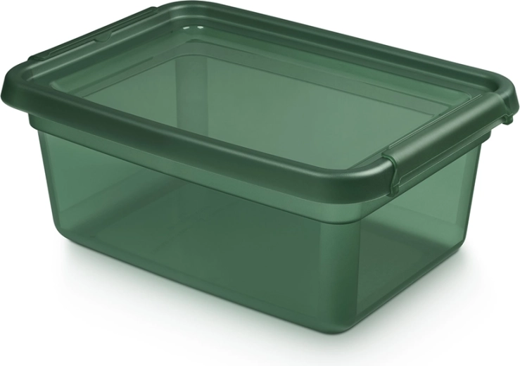 Basestore contenitore in plastica con coperchio e clip pine 12,5 l