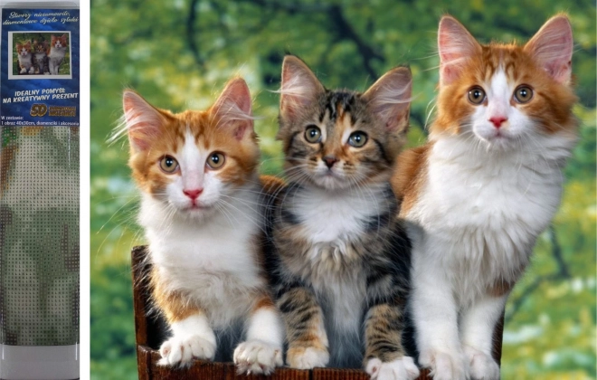 Pittura diamante Gatti 30x40 cm