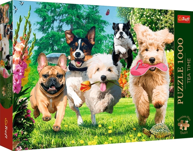 Trefl Puzzle Premium Plus Tea Time: Marachelle canine in giardino 1000 pezzi