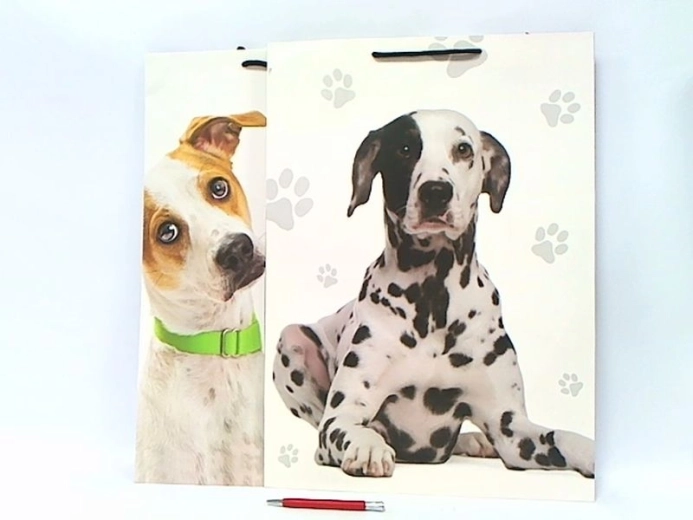Borsa regalo XL
