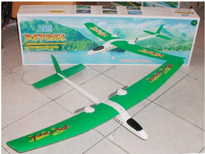 Aereo RC Petrel con propulsione elettrica e controllo a due canali