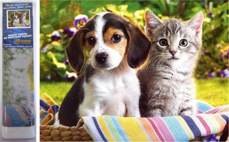 Pittura diamantata Amici nel cestino 30 × 40 cm