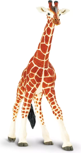 Safari Ltd. giraffa reticolata - 1 pezzo