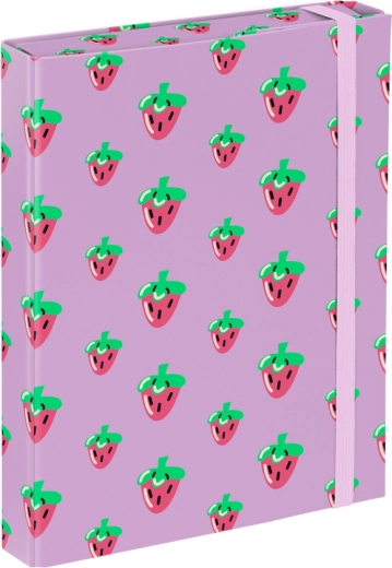 Cartelline per quaderni scolastici A5 Baagl Lavender