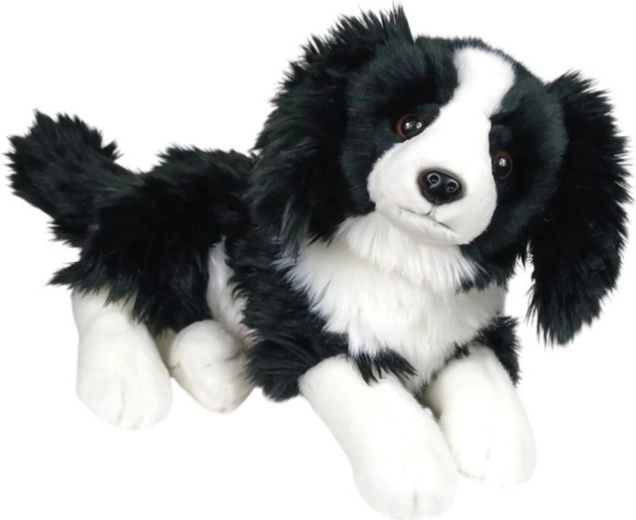 Cane di peluche border collie sdraiato 30 cm
