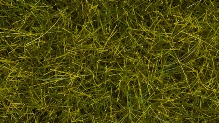 Noch erba statica prato selvatico 12 mm