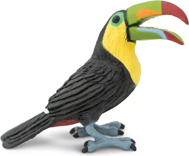 Safari Ltd. tucano dal becco corto