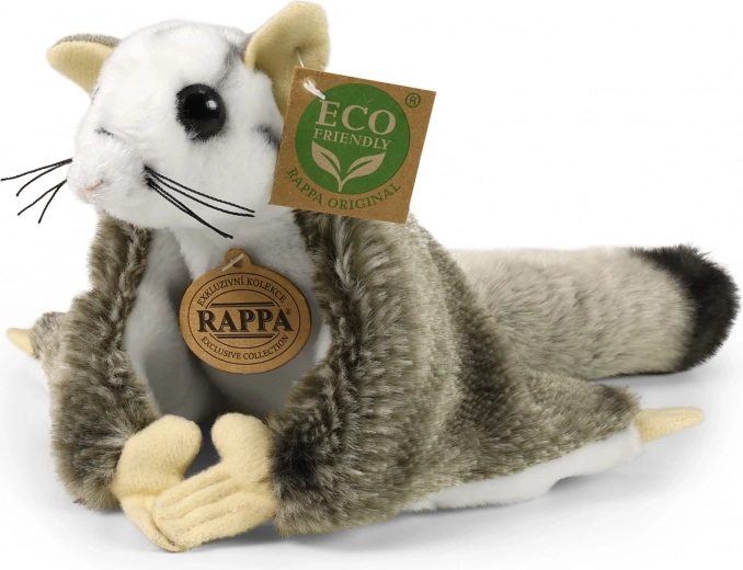 Petaurio dello zucchero di peluche