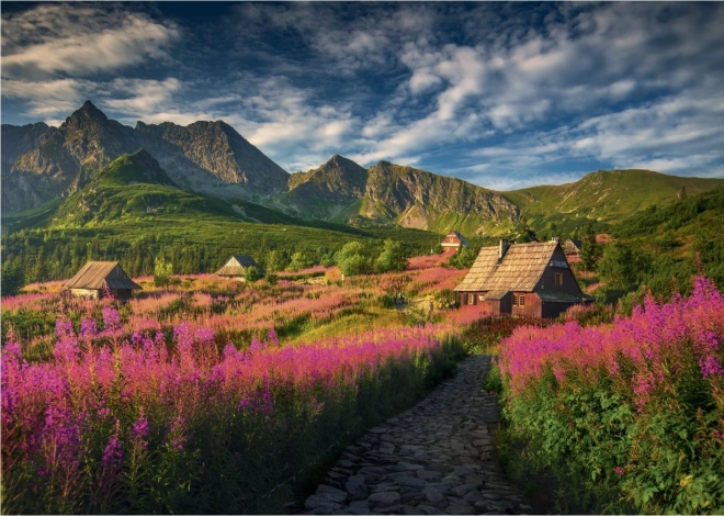 Puzzle Valle di Gaseinicova 1000 pezzi