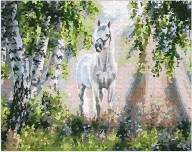 Pittura diamantata cavallo bianco 30 × 40 cm