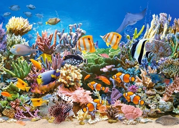 Puzzle di 260 pezzi Colori dell'oceano