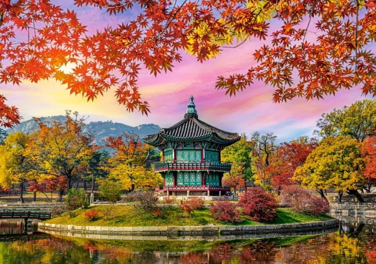 Puzzle Palazzo Gyeongbokgung, Corea del Sud 500 pezzi