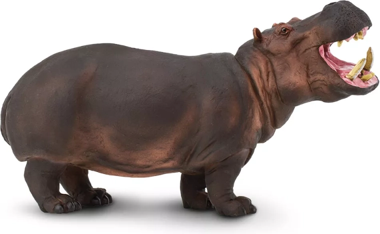 Safari Ltd. ippopotamo – statuetta realistica - 1 pezzo