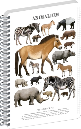 Blocco a spirale Notique Animalium – ungulati dispari, A5, a quadretti