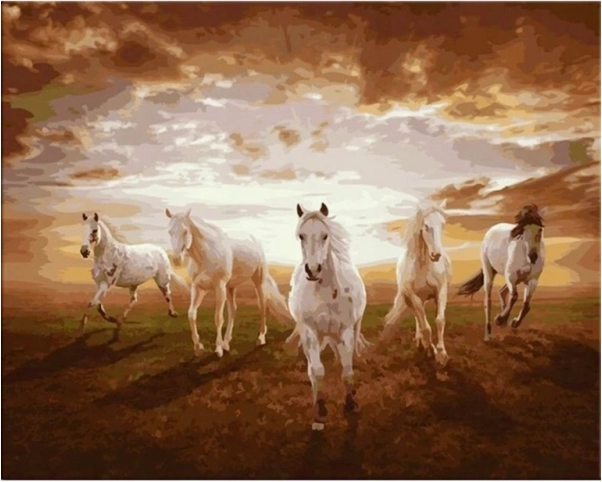 Quadro da dipingere con i numeri in cornice 50 × 40 cm – cavalli al galoppo