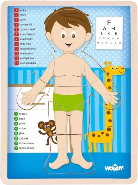 Puzzle bifacciale Woody Corpo umano - ragazzo