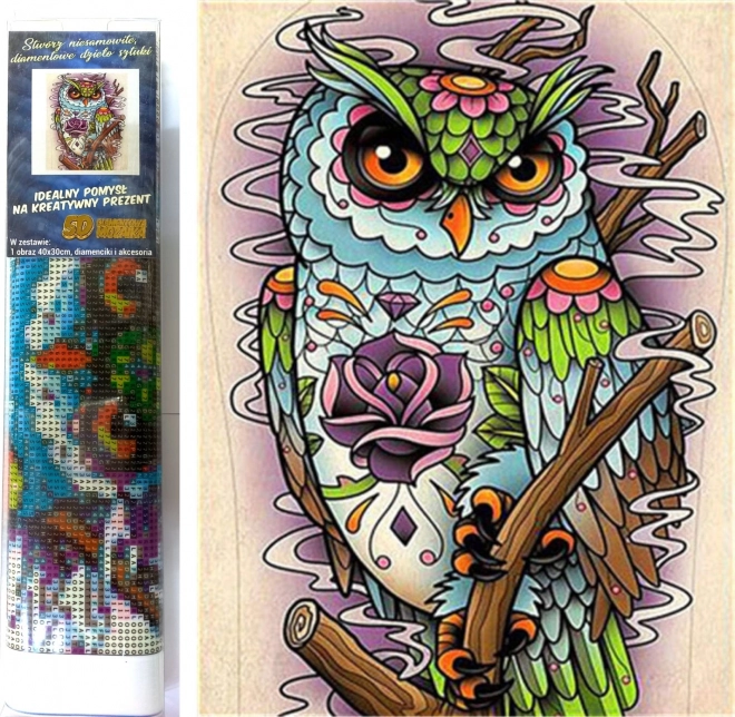 Pittura con diamanti gufo saggio 30x40 cm