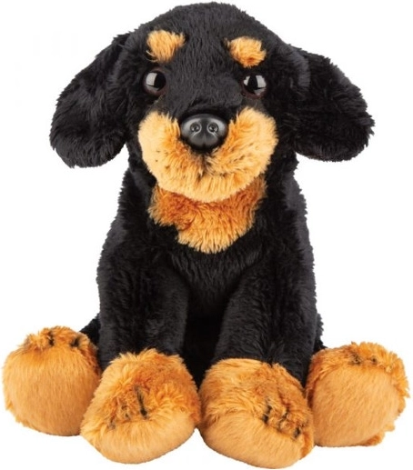 Peluche cane bassotto