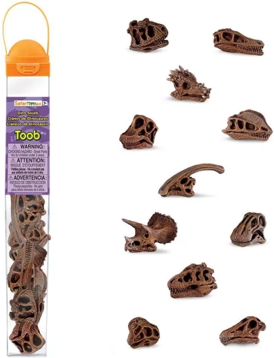 Safari Ltd. TOOBS tubo – teschi di dinosauri