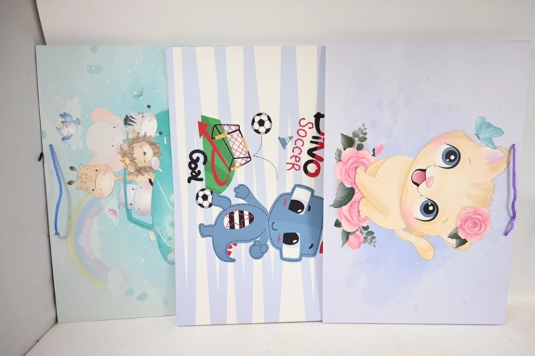 Borsa regalo da presentazione 60 × 40 × 25 cm