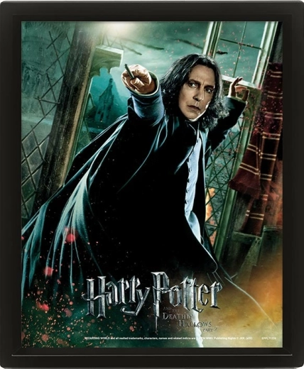 Quadro 3D HARRY POTTER – Severus Piton