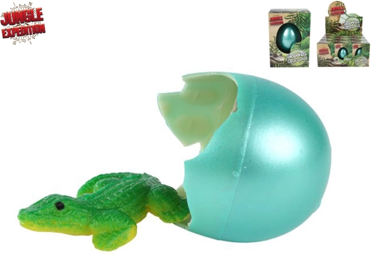 Jungle Expedition coccodrillo che si schiude e cresce – uovo in acqua