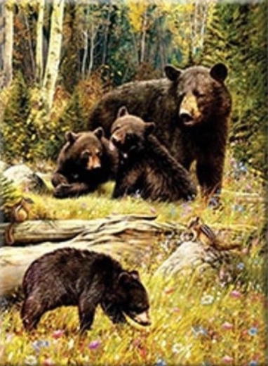 Pittura con diamanti – Orsi nella radura 30 × 40 cm