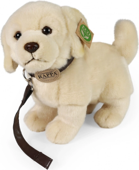 Cane di peluche Golden Retriever con guinzaglio 25 cm