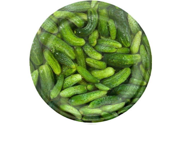 Set di coperchi per conserve 82 mm con motivo cetrioli, 6 denti, 10 pz