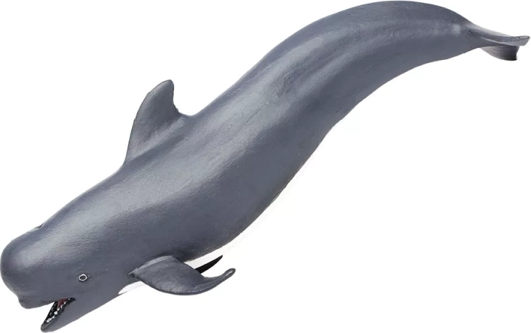 Safari Ltd. statuetta di globicefalo - 1 pezzo