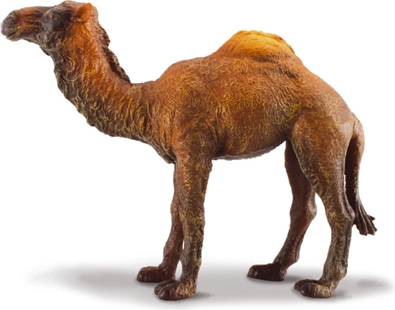 Figura di dromedario CollectA
