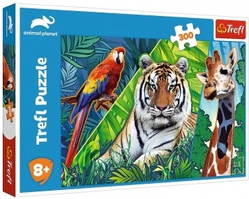 Puzzle Animali Straordinari 300 pezzi 60 × 40 cm