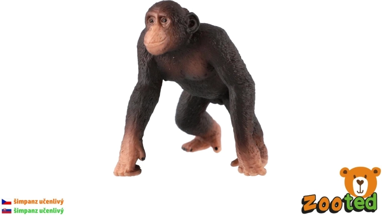 Figura di scimpanzé comune in plastica 8 cm - 1 pezzo