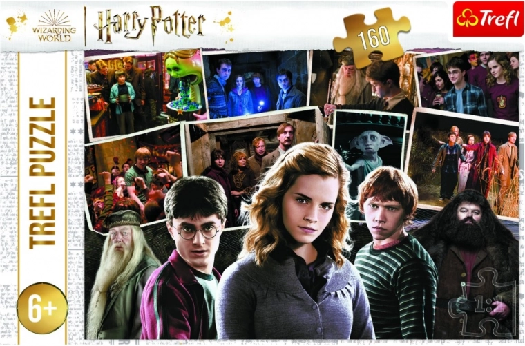 Puzzle HARRY POTTER e amici 160 pezzi Trefl