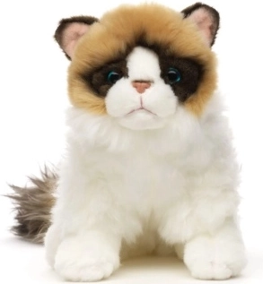Gatto Ragdoll di peluche 23 cm