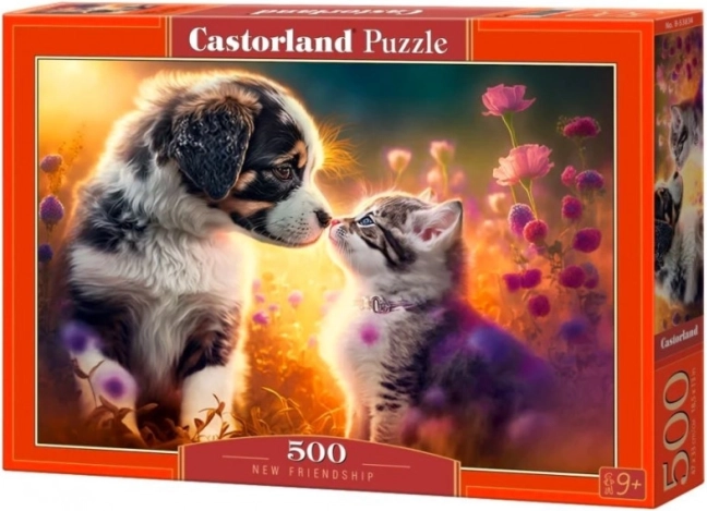 Puzzle 500 pezzi CASTORLAND – Nuova amicizia (cane e gatto)