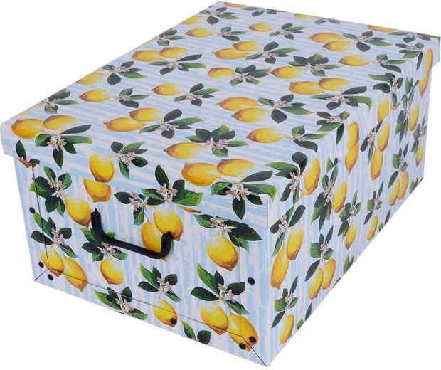 Scatola portaoggetti in cartone Maxi – limoni
