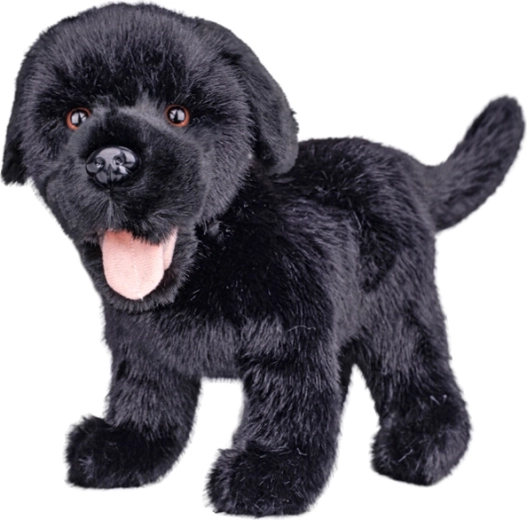 Labrador di peluche nero 23 cm - 1 pezzo