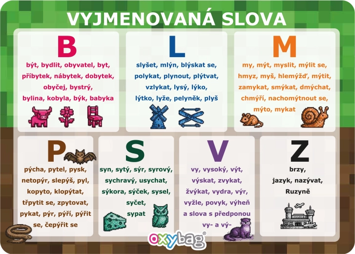 PlayWorld scheda didattica A4 parole "vyjmenovaná slova"